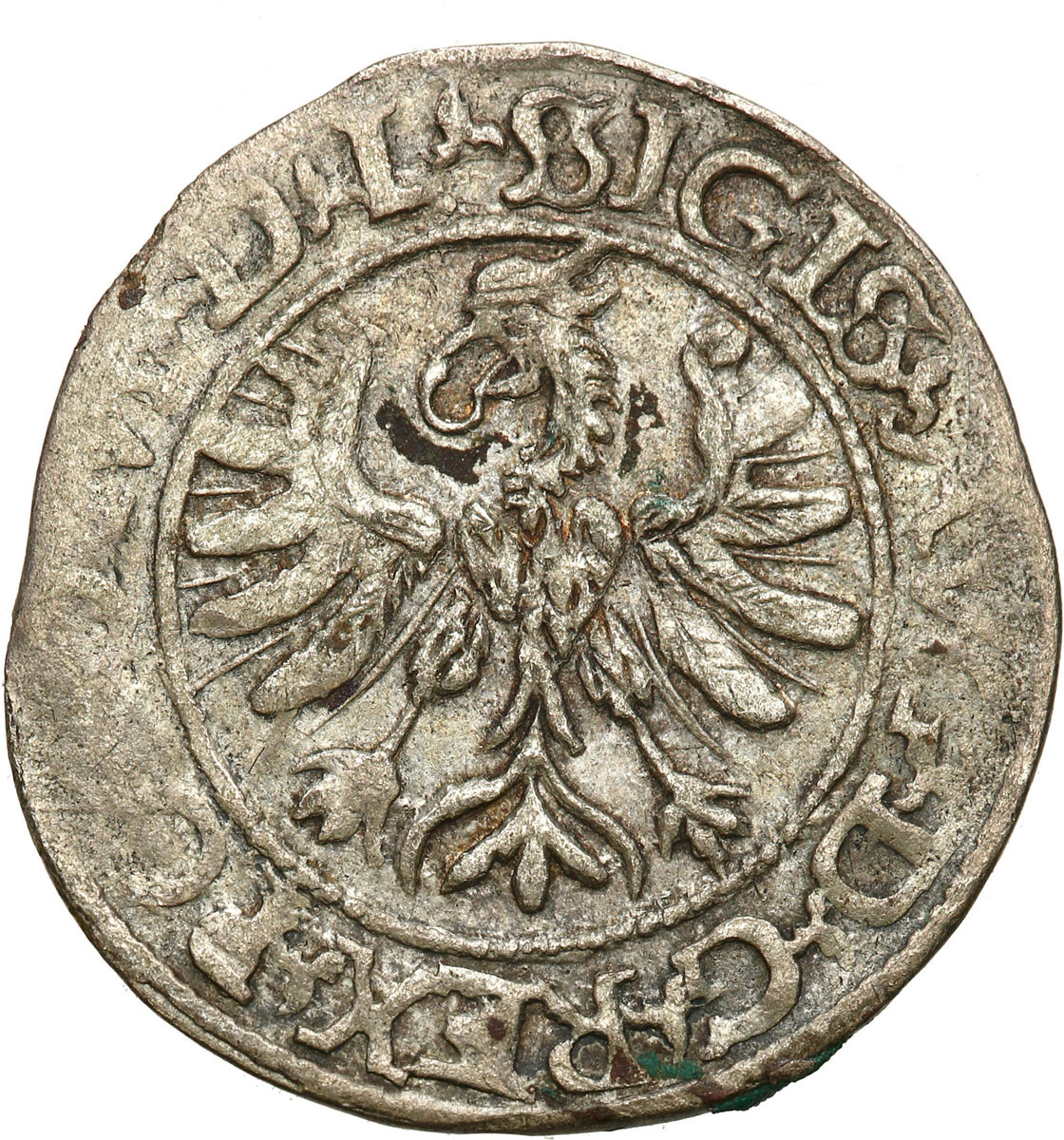 Zygmunt II August. Półgrosz 1566, Tykocin
